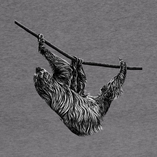 Linnaeus's two-toed sloth by lorendowding